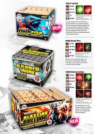 Lesli Feuerwerk Prospekt Seite 127