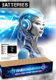 Lesli Feuerwerk Prospekt Seite 128