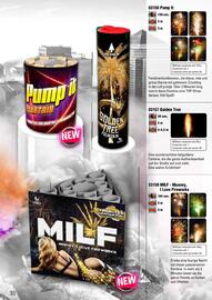 Lesli Feuerwerk Prospekt Seite 137