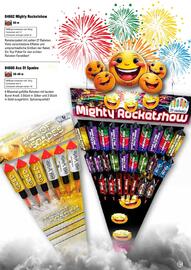 Lesli Feuerwerk Prospekt Seite 148