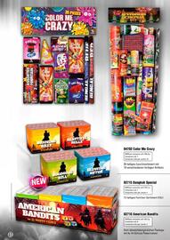 Lesli Feuerwerk Prospekt Seite 151