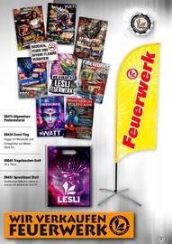 Lesli Feuerwerk Prospekt Seite 154