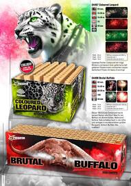 Lesli Feuerwerk Prospekt Seite 17