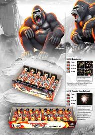 Lesli Feuerwerk Prospekt Seite 19