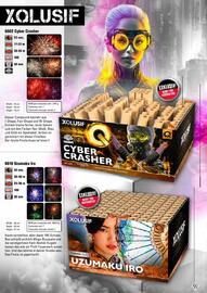 Lesli Feuerwerk Prospekt Seite 22