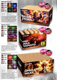 Lesli Feuerwerk Prospekt Seite 24