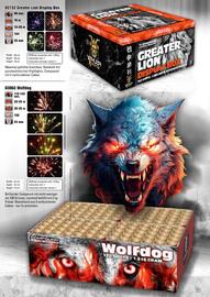 Lesli Feuerwerk Prospekt Seite 60