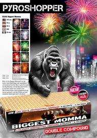 Lesli Feuerwerk Prospekt Seite 82