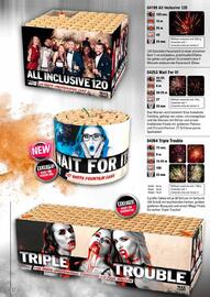 Lesli Feuerwerk Prospekt Seite 85