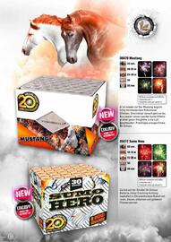 Lesli Feuerwerk Prospekt Seite 9