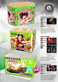 Lesli Feuerwerk Prospekt Seite 91