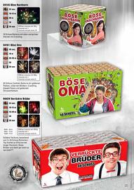 Lesli Feuerwerk Prospekt Seite 94