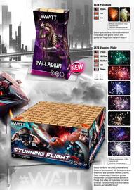 Lesli Feuerwerk Prospekt Seite 97