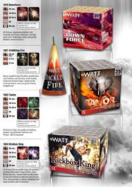 Lesli Feuerwerk Prospekt Seite 98