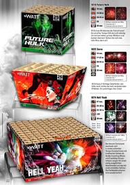 Lesli Feuerwerk Prospekt Seite 99