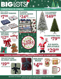 Big Lots weekly ad week 49 Page 1
