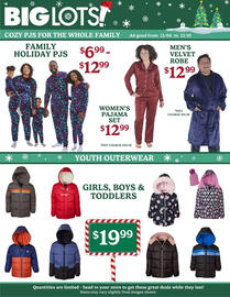 Big Lots weekly ad week 49 Page 2
