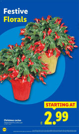 Lidl weekly ad week 50 Page 30