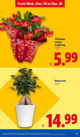 Lidl weekly ad week 50 Page 31