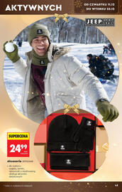 Biedronka gazetka Strona 43