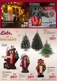 Selgros Prospekt woche 50 Seite 21