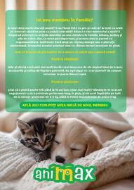 Magazine Animax Pagină 14