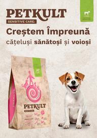 Magazine Animax Pagină 15