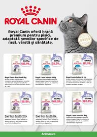 Magazine Animax Pagină 17