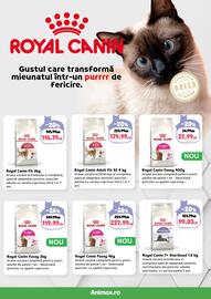 Magazine Animax Pagină 19