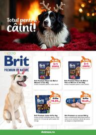 Magazine Animax Pagină 2