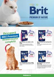 Magazine Animax Pagină 20