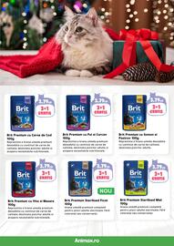 Magazine Animax Pagină 21