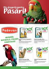 Magazine Animax Pagină 26