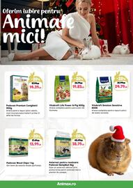 Magazine Animax Pagină 27