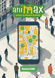 Magazine Animax Pagină 29