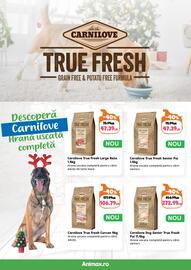 Magazine Animax Pagină 8