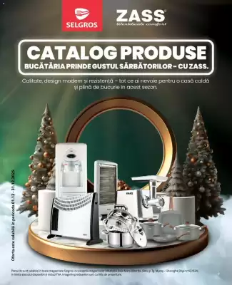 Catalog Selgros (valid până la 31-12)