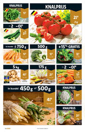 Cora folder Pagina 10