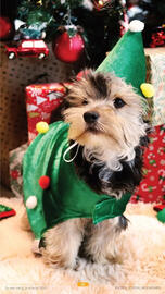 YGO folder Pagina 25