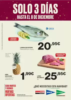Catálogo Viajes El Corte Inglés (válido hasta 8-12)