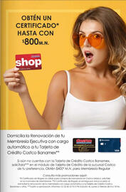 Catálogo Costco Página 17