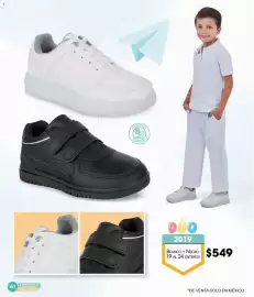 Catálogo Cklass Página 62