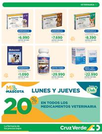 Catálogo Cruz Verde Página 15