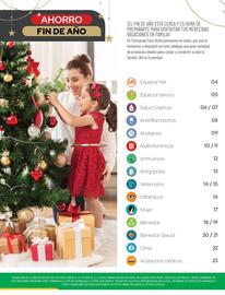 Catálogo Cruz Verde Página 2