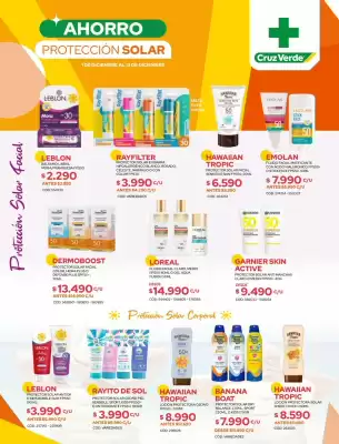 Catálogo Cruz Verde (válido hasta 31-12)