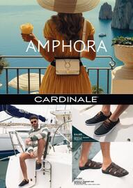 Catálogo Coopercarab Página 12