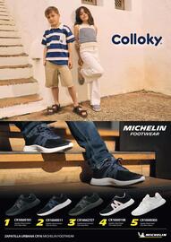 Catálogo Coopercarab Página 13