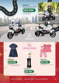 Catálogo Coopercarab Página 17