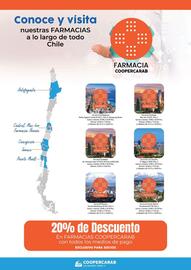 Catálogo Coopercarab Página 4