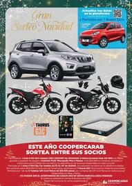 Catálogo Coopercarab Página 60